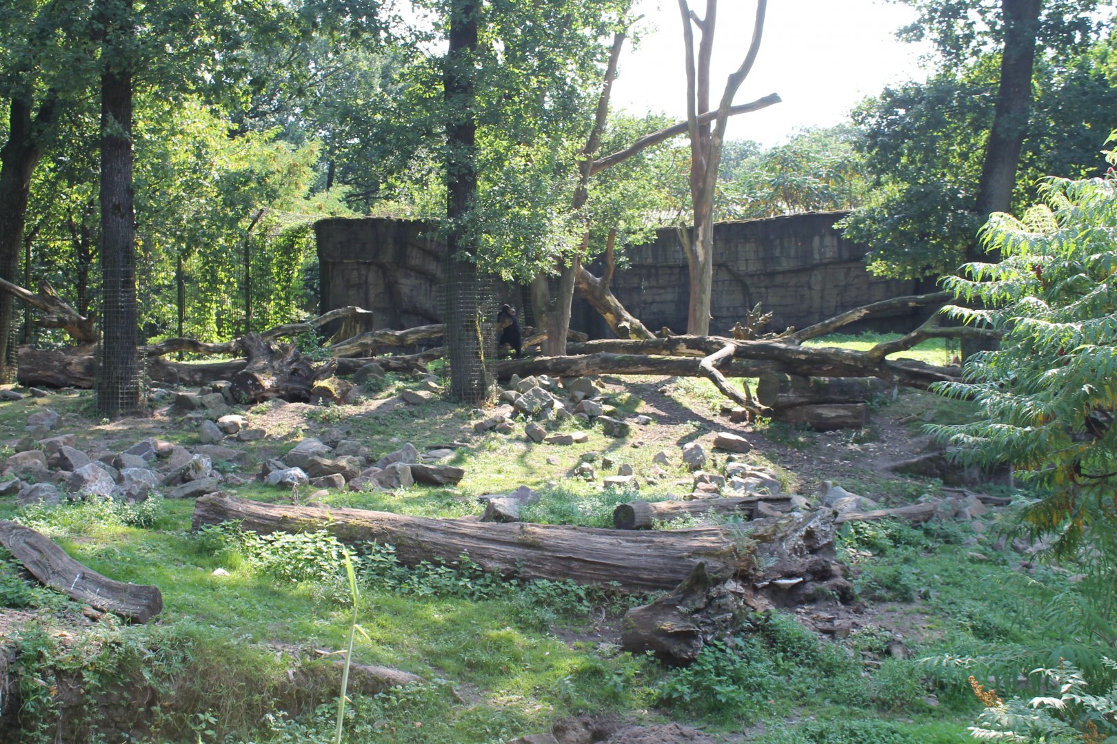 Bear - Binturong Enclosure
