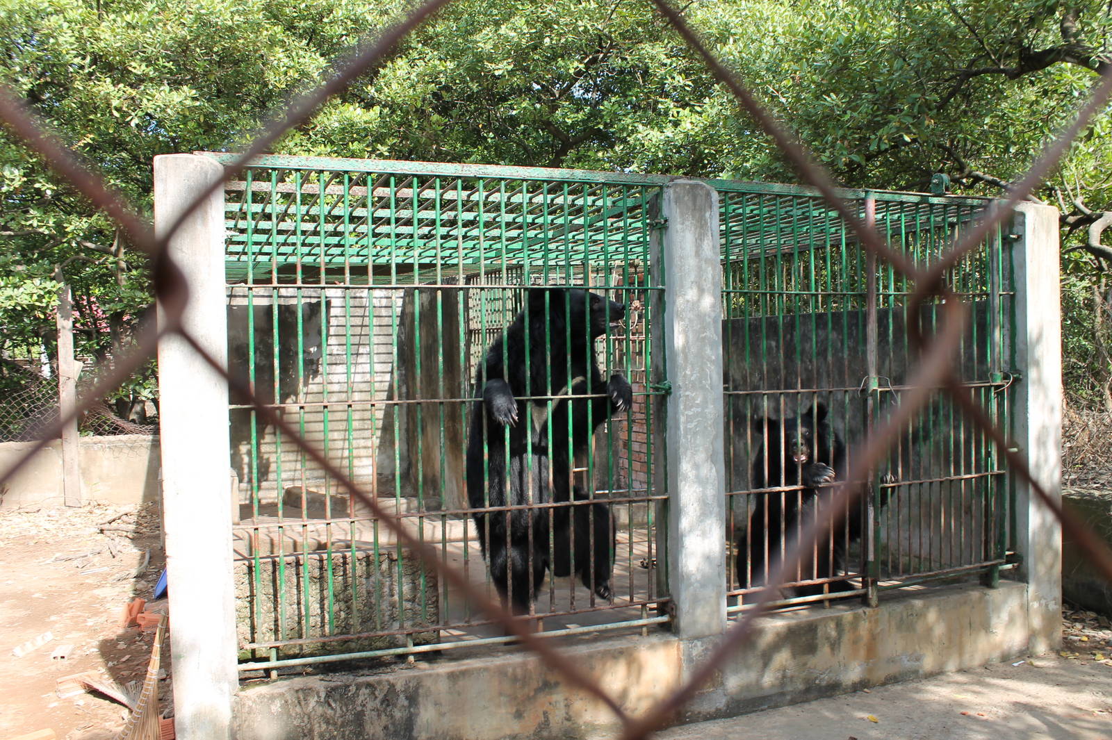 Bear Cage - Can Gio Island