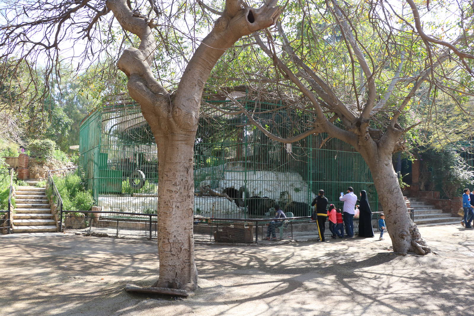 Bear cage, February 2016