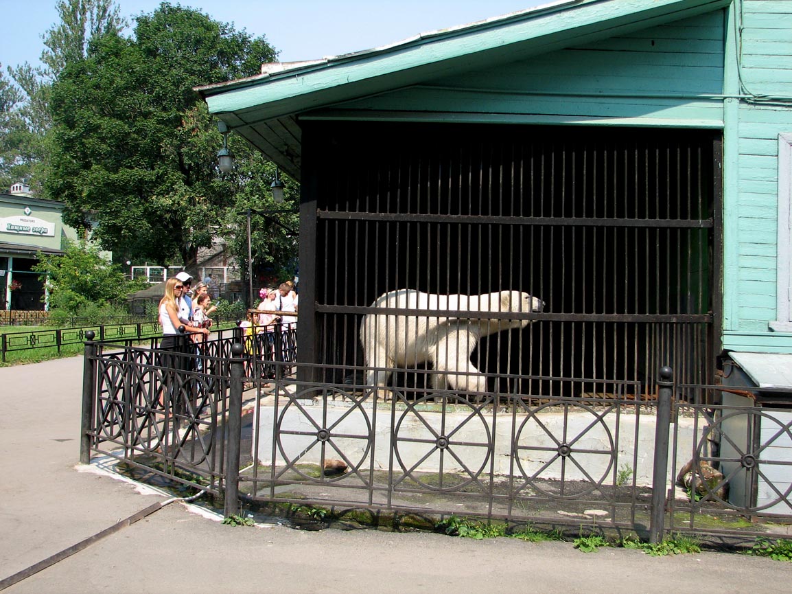 Bear cage