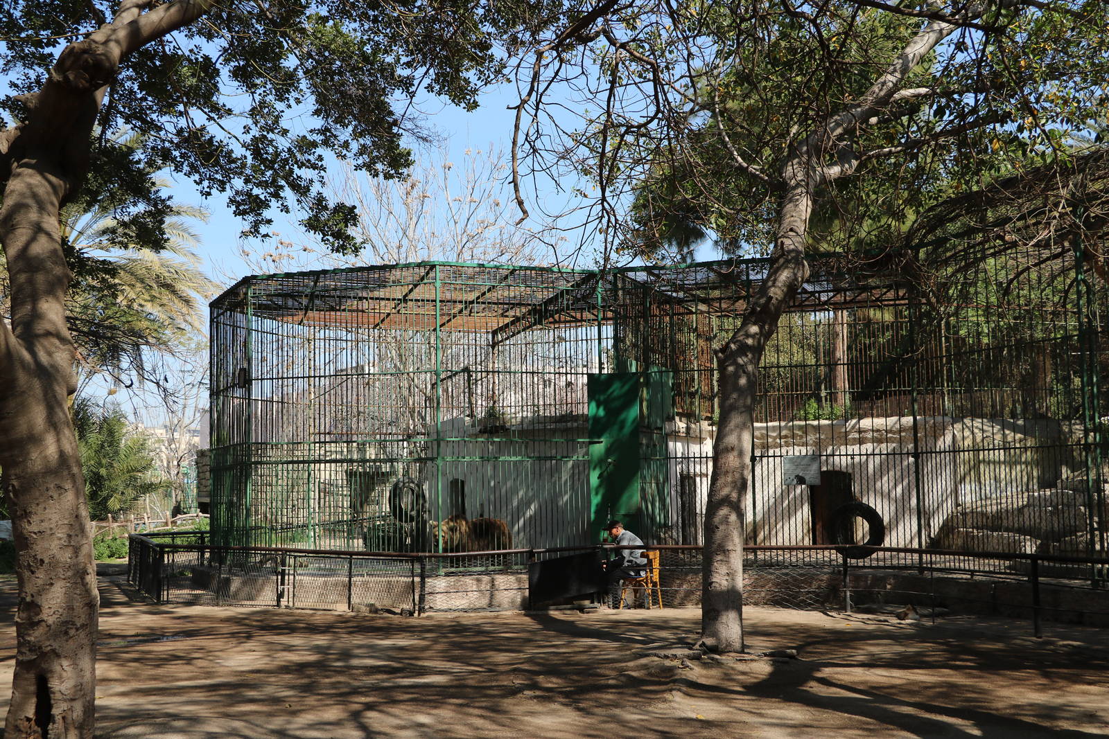 Bear cages, February 2016