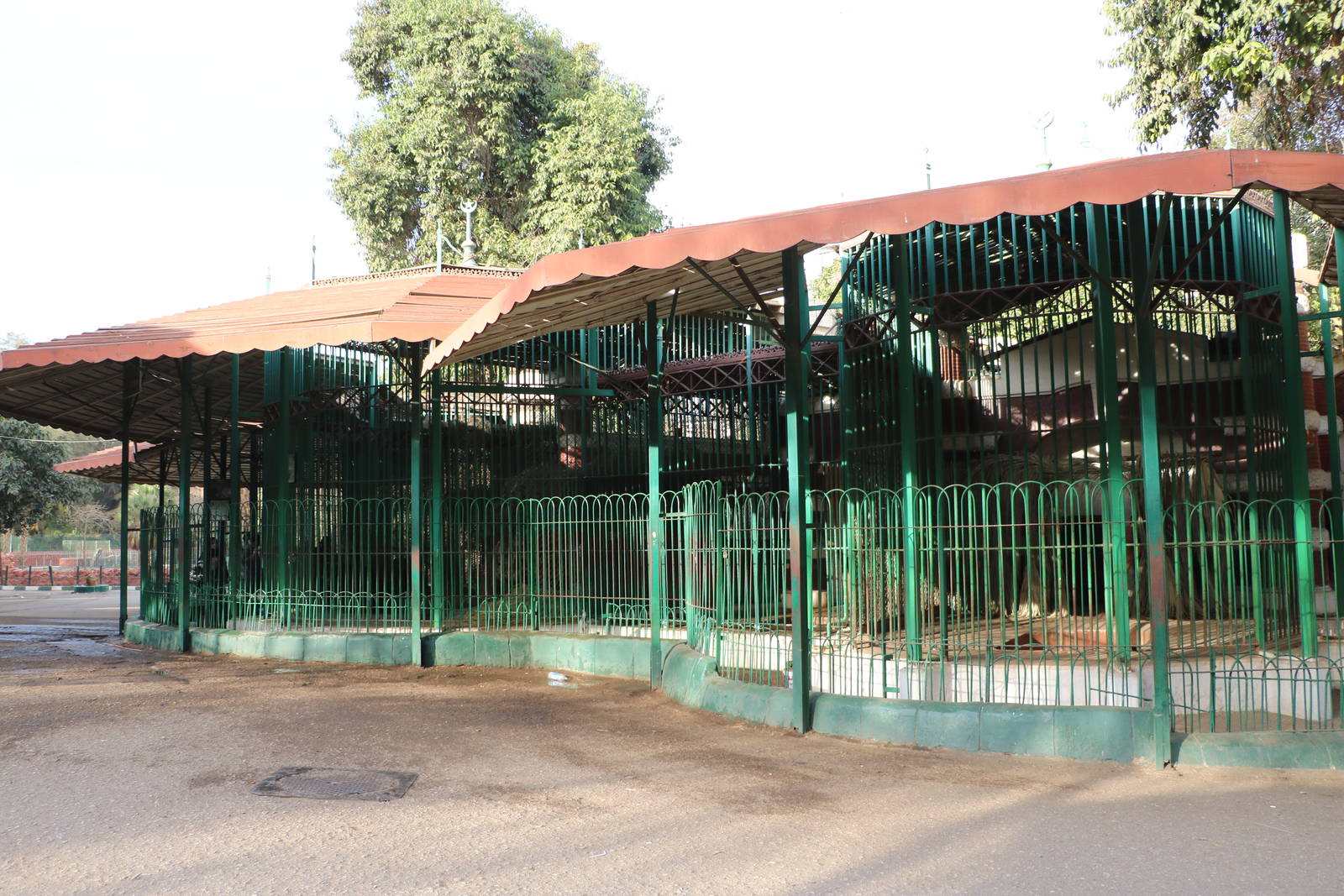 Bear cages, February 2016