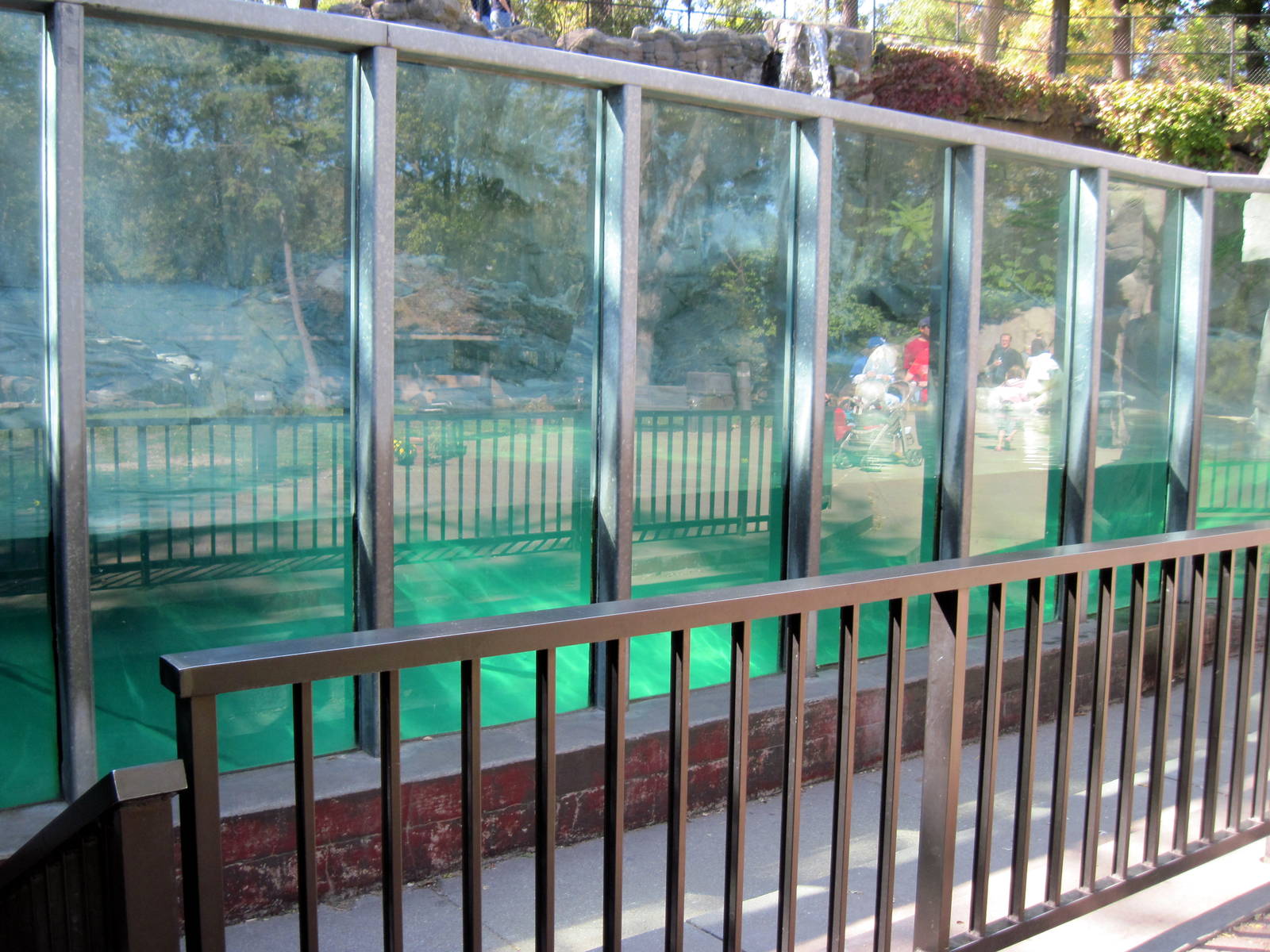 Bear Canyon-Polar Bear Exhibit