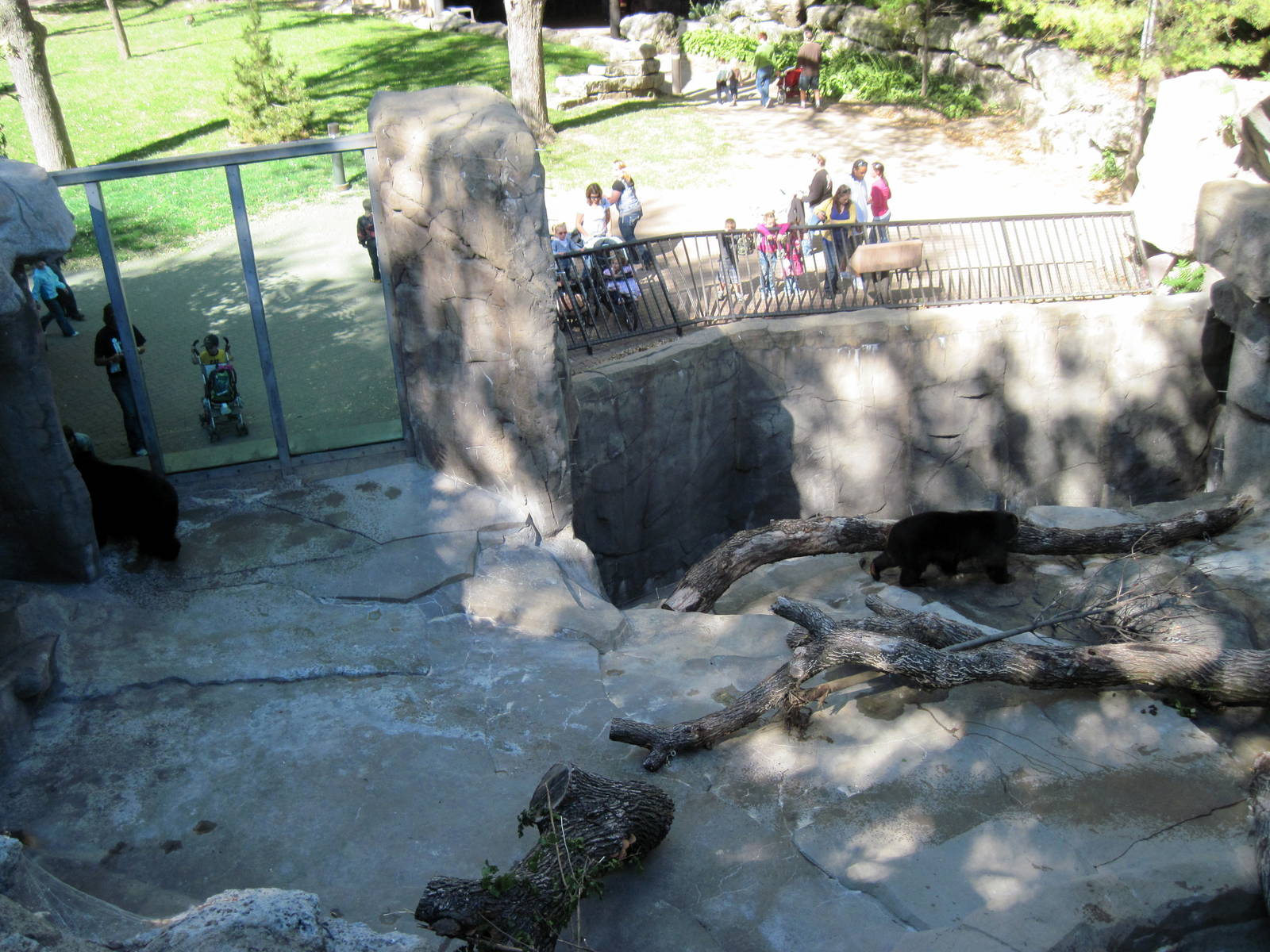 Bear Canyon-Spectacled Bear Exhibit