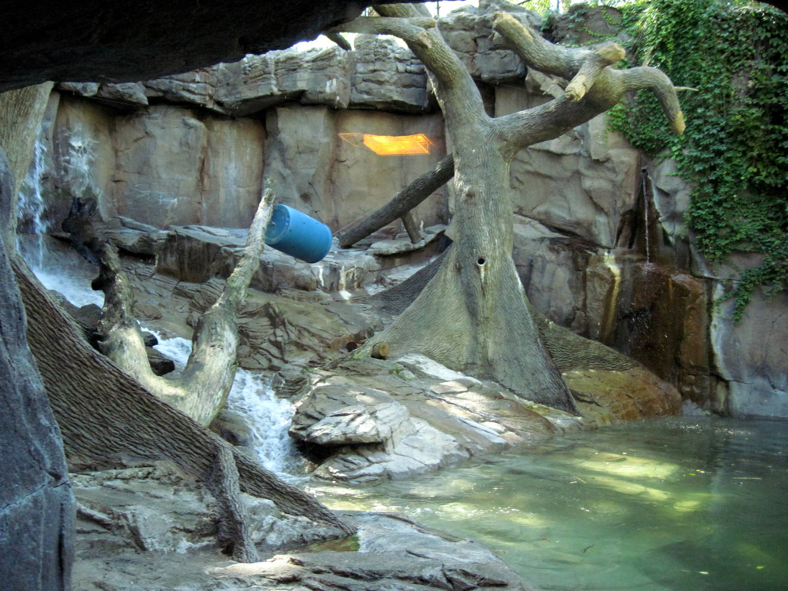 Bear Canyon-Sun Bear Exhibit