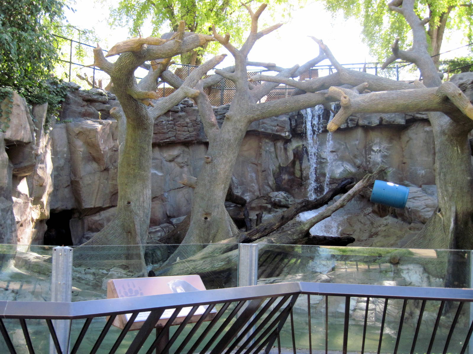 Bear Canyon-Sun Bear Exhibit