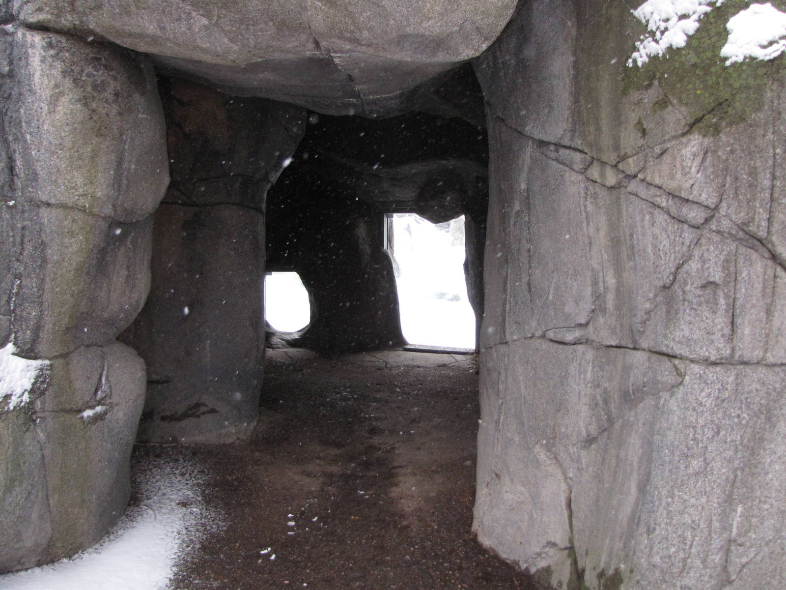 bear cave viewing at Skansen