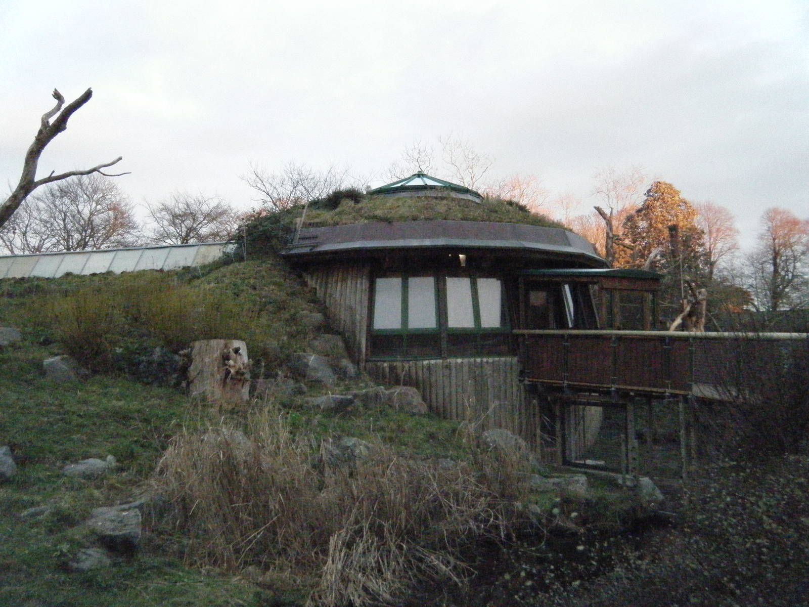 Bear/Coati/Howler Monkey/Otter House