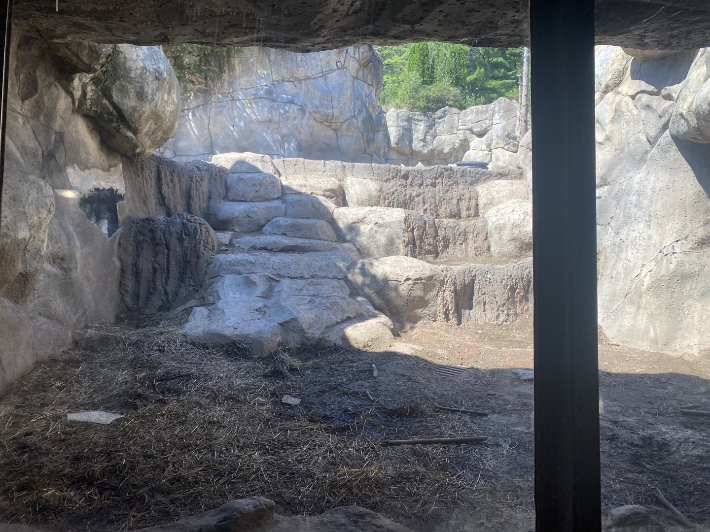 Bear Country - Alaskan Brown Bear Den