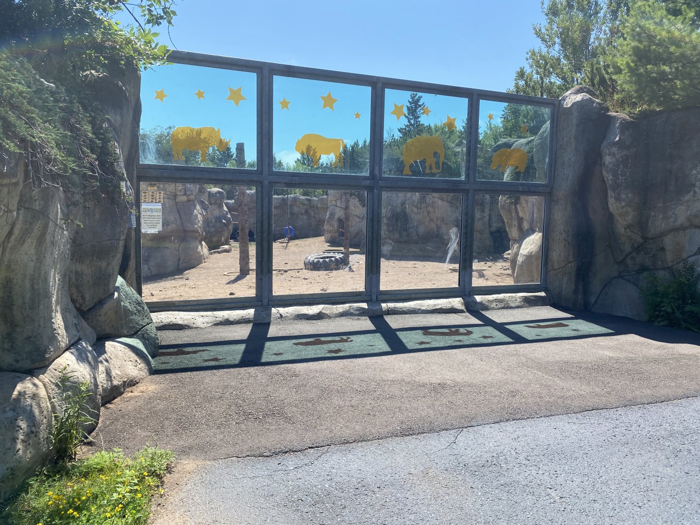 Bear Country - Alaskan Brown Bear Exhibit