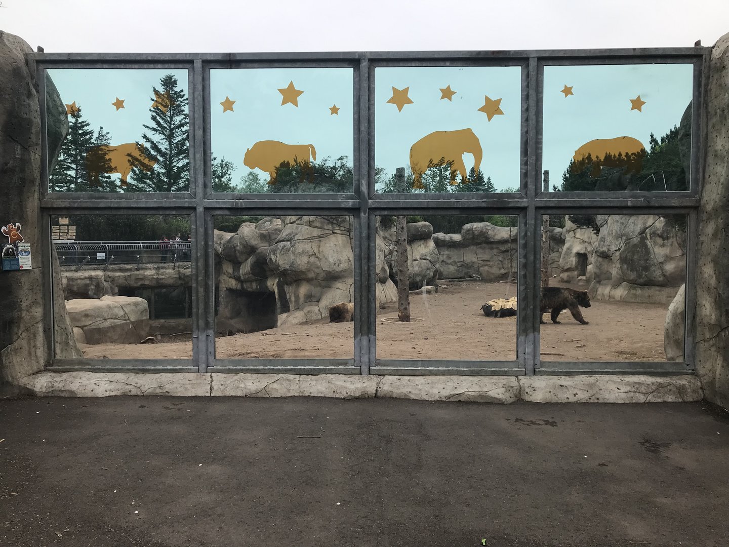 Bear Country - Alaskan Brown Bear Exhibit