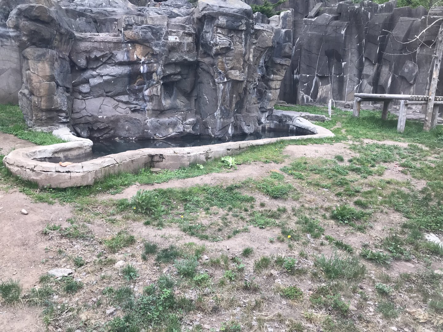 Bear Country - American Black Bear Exhibit