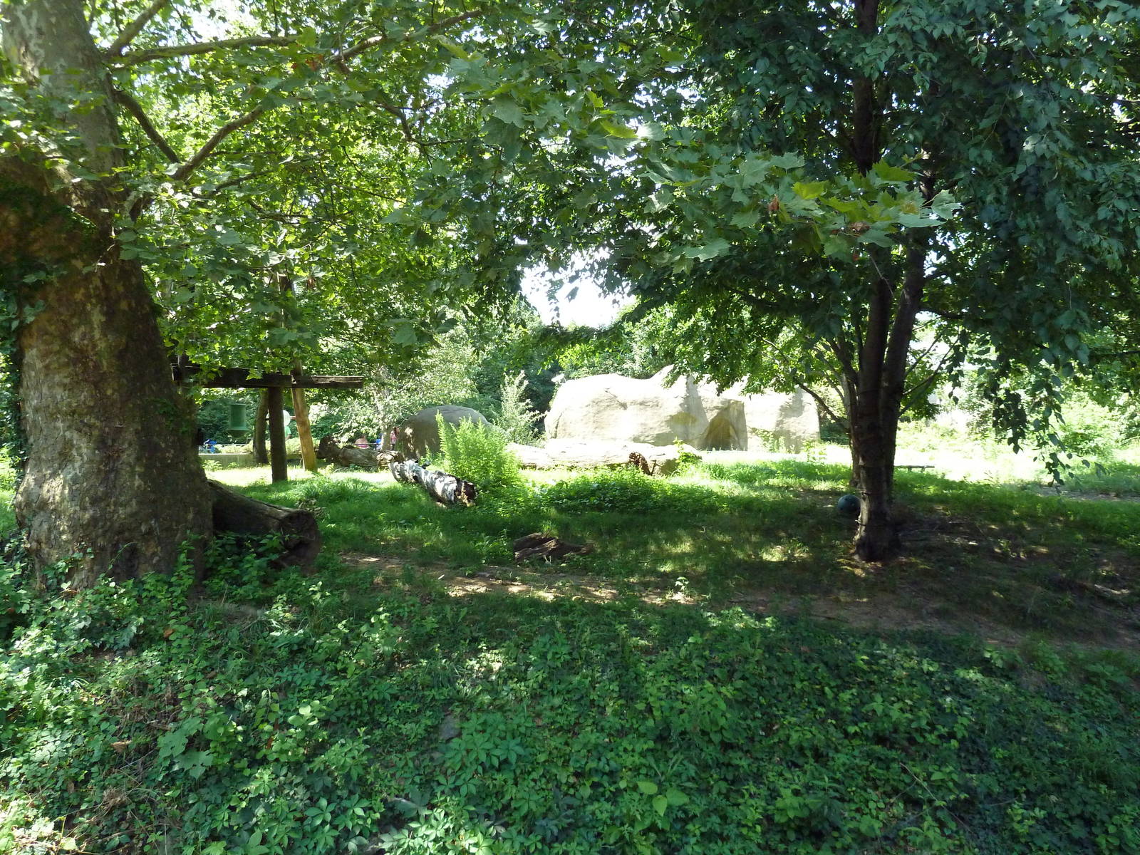 Bear Country - Andean Bear Exhibit