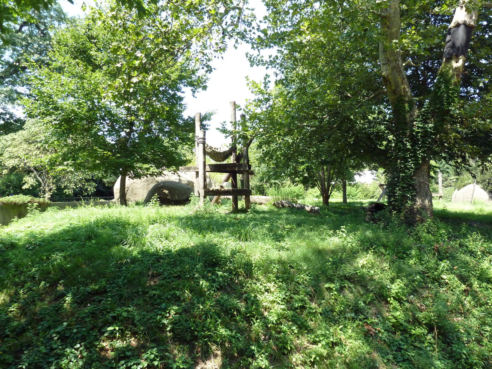 Bear Country - Andean Bear Exhibit
