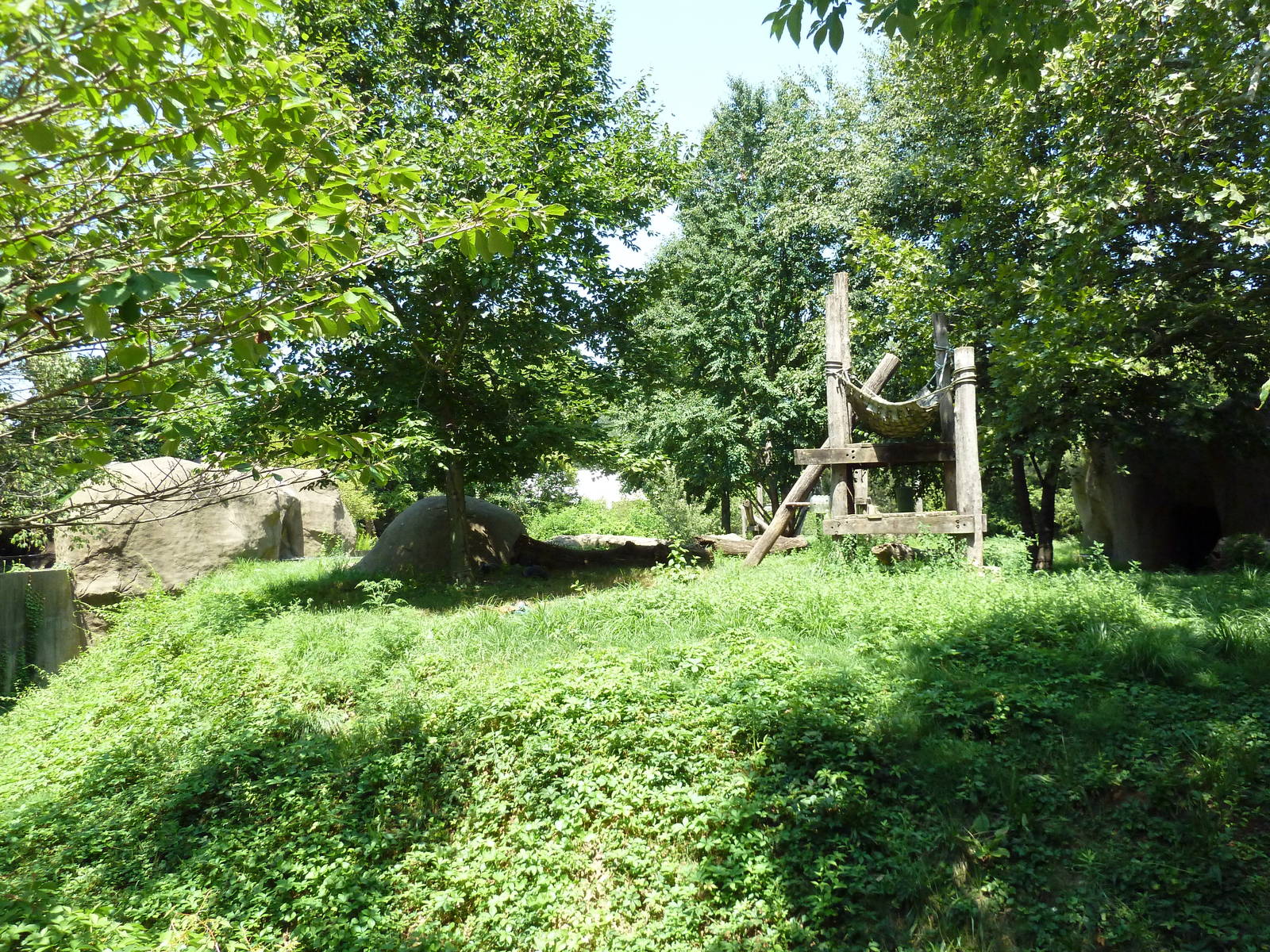 Bear Country - Andean Bear Exhibit