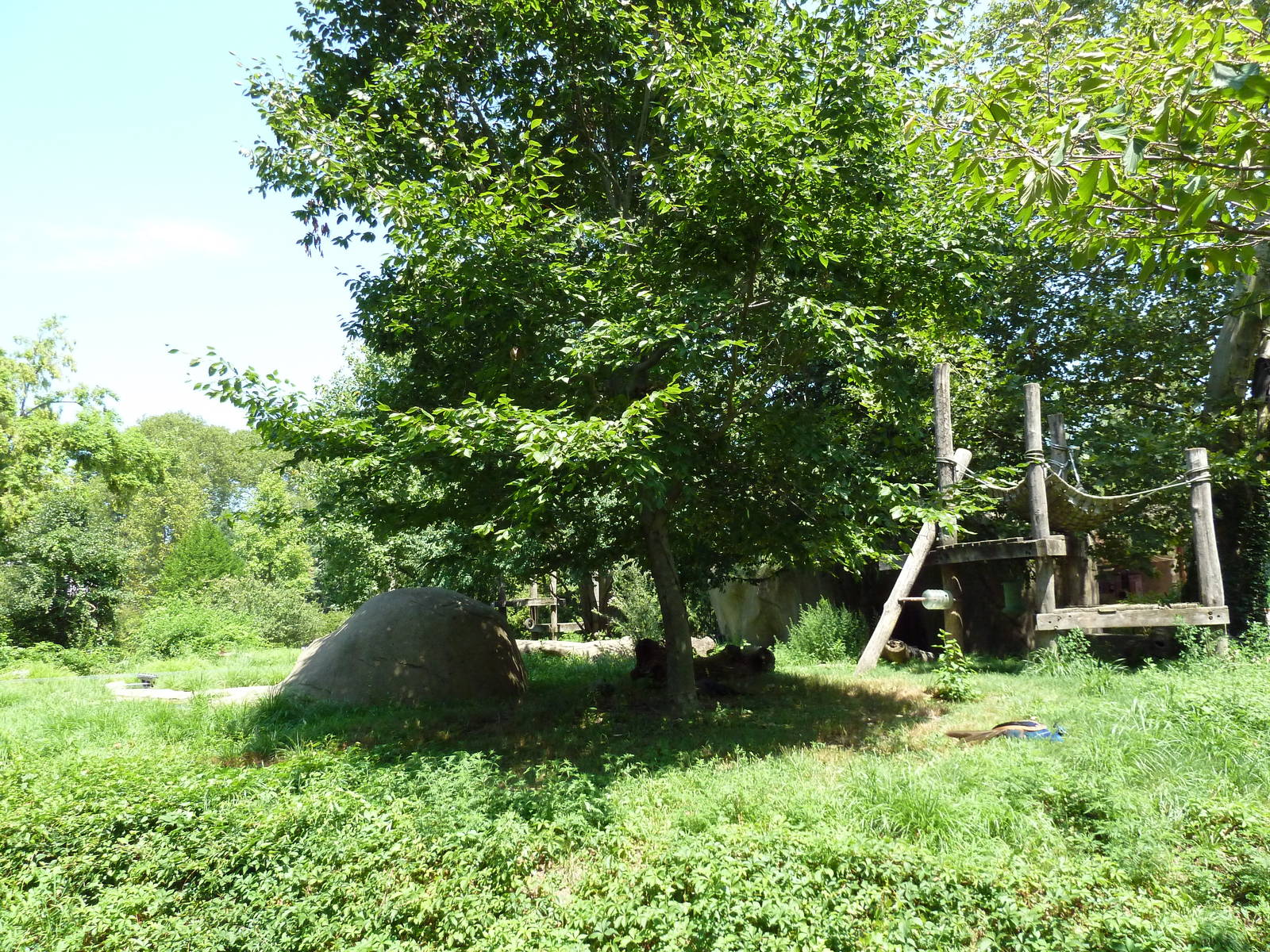 Bear Country - Andean Bear Exhibit