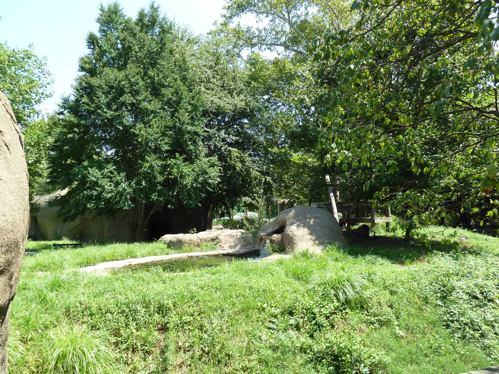 Bear Country - Andean Bear Exhibit
