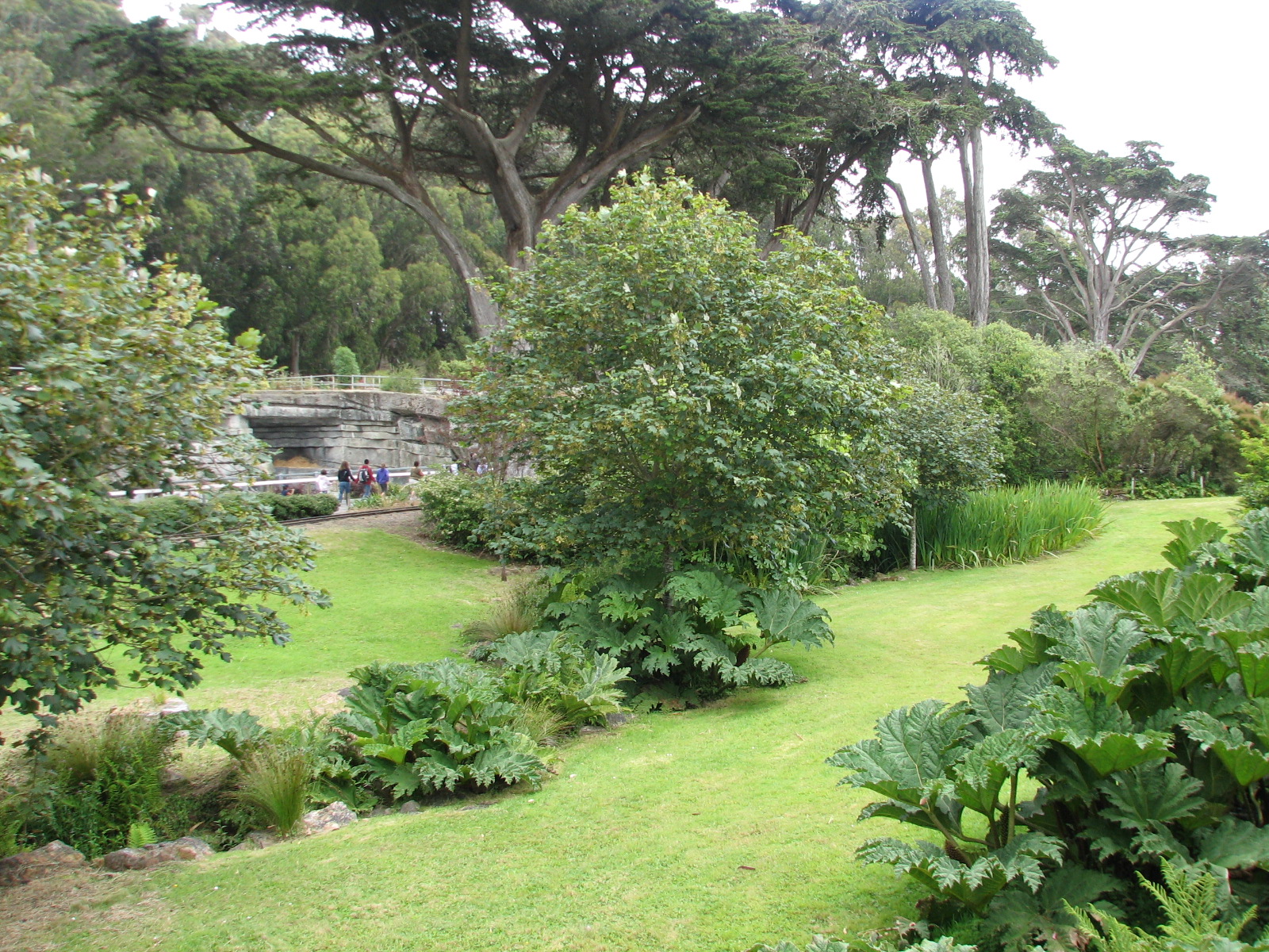 Bear Country Area Landscape