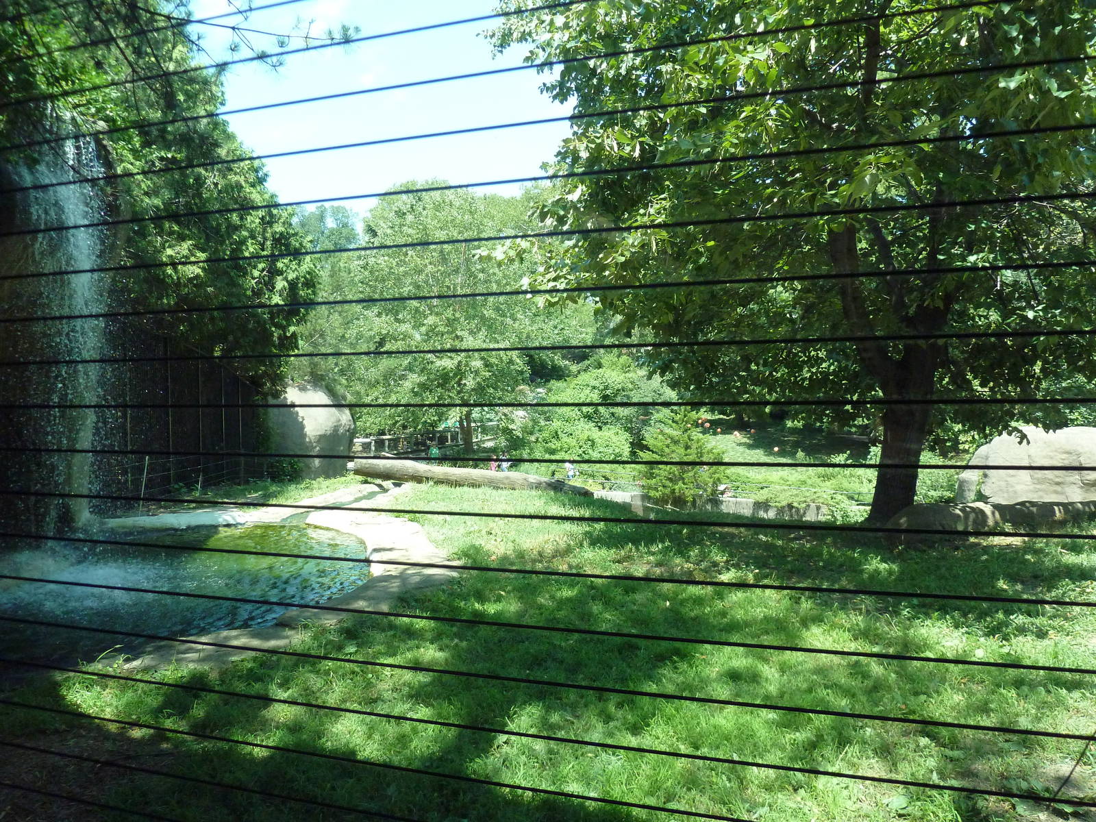 Bear Country - Asiatic Black Bear Exhibit