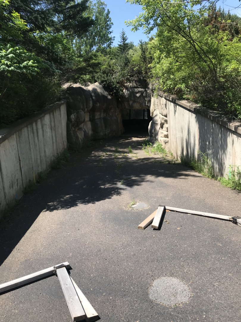 Bear Country- below- ground viewing tunnel
