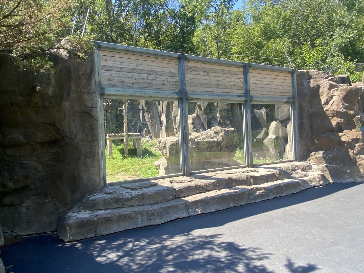 Bear Country - Black Bear Viewing