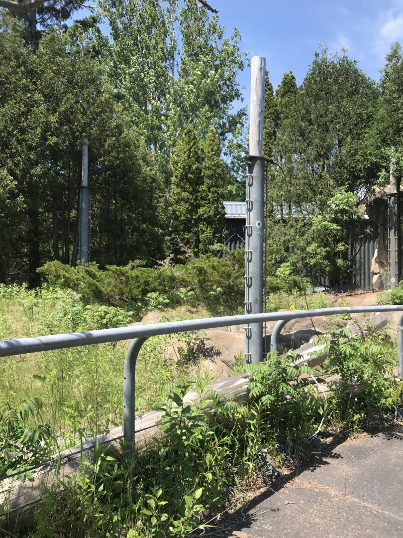 Bear Country- empty aviary (formerly snowy owl)