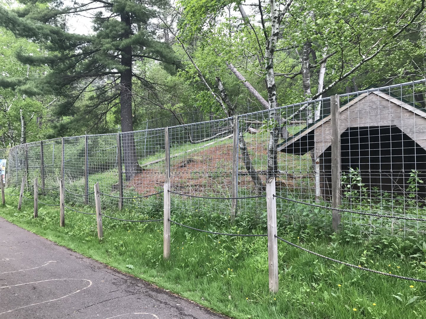 Bear Country - Former Pere David’s Deer Exhibit
