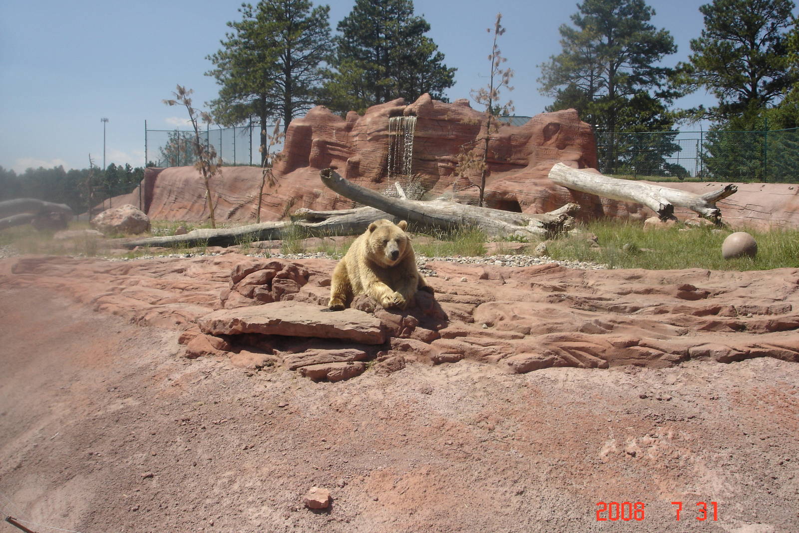 Bear Country-Girzzly Bear