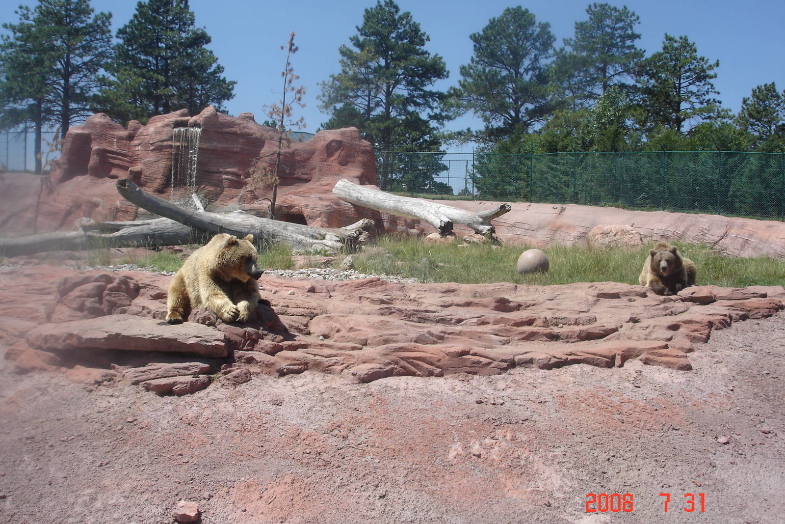 Bear Country-Girzzly Bears