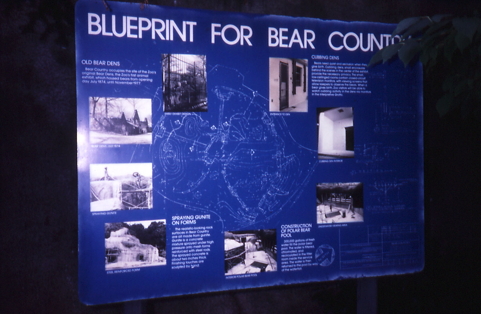 Bear Country graphic - 1987