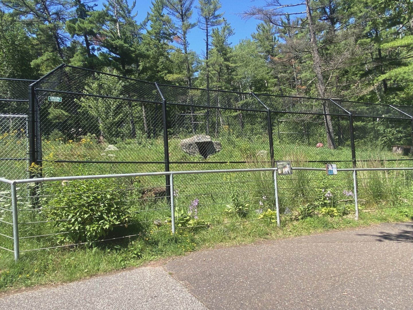 Bear Country - Grey Wolf Exhibit