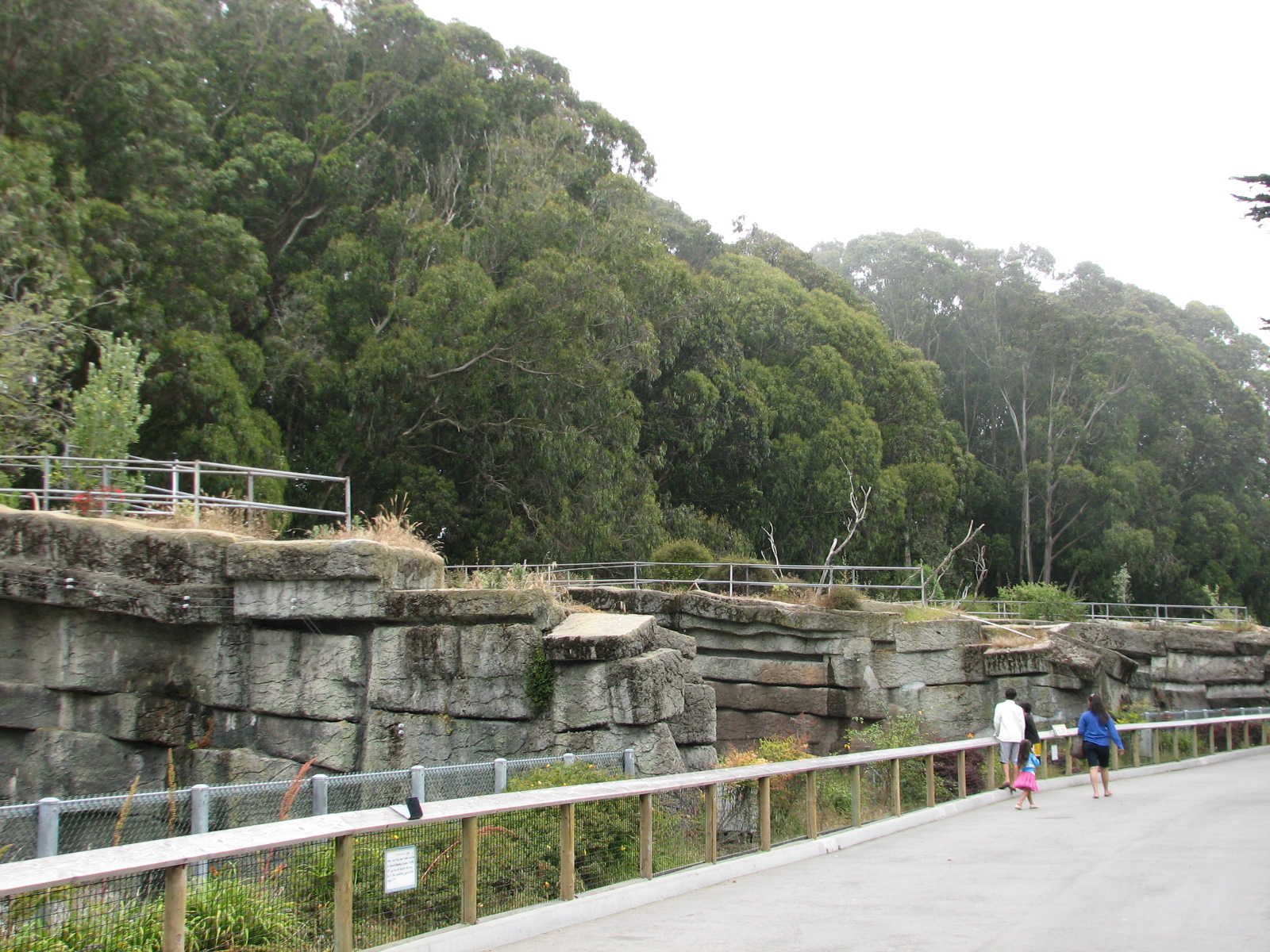 Bear Country - Grottos