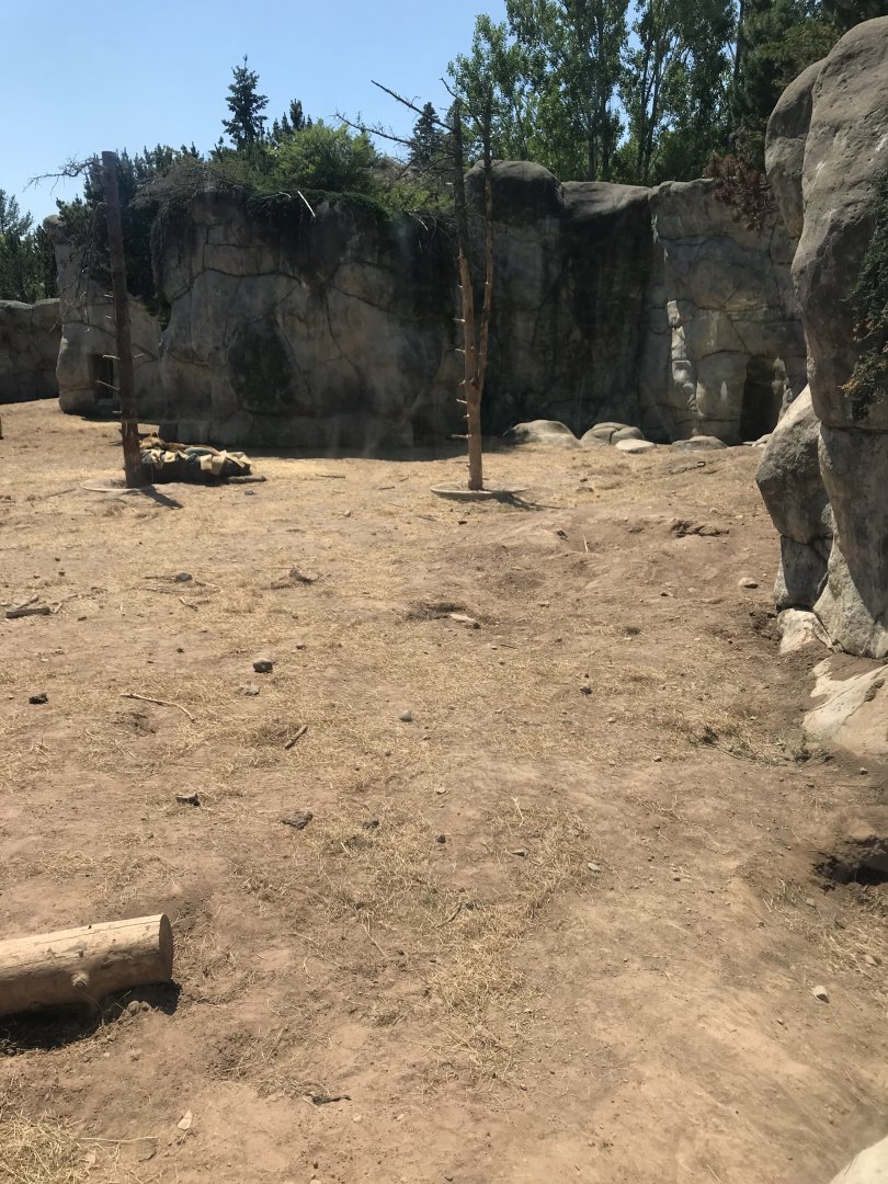 Bear Country-  New Alaskan brown bear exhibit (formerly  polar shores)