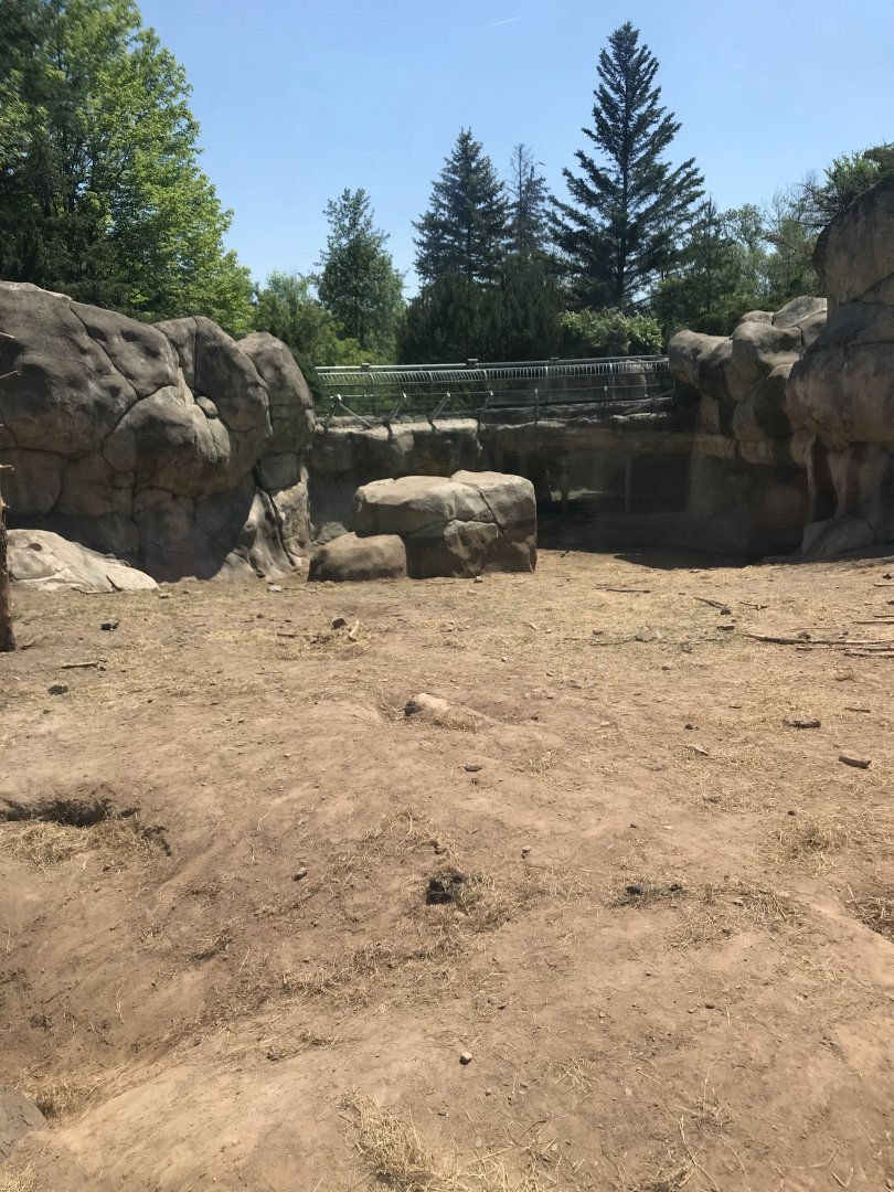 Bear Country- New Alaskan brown bear exhibit (formerly polar shores)