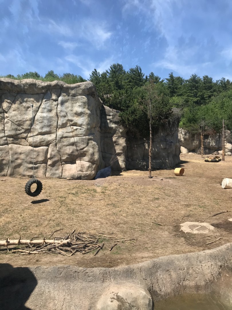 Bear Country- New Alaskan brown bear exhibit (formerly polar shores)