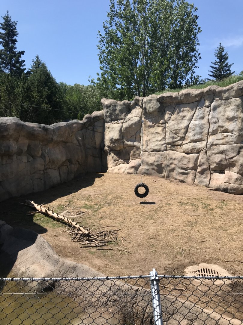 Bear Country- New Alaskan brown bear exhibit (formerly polar shores)