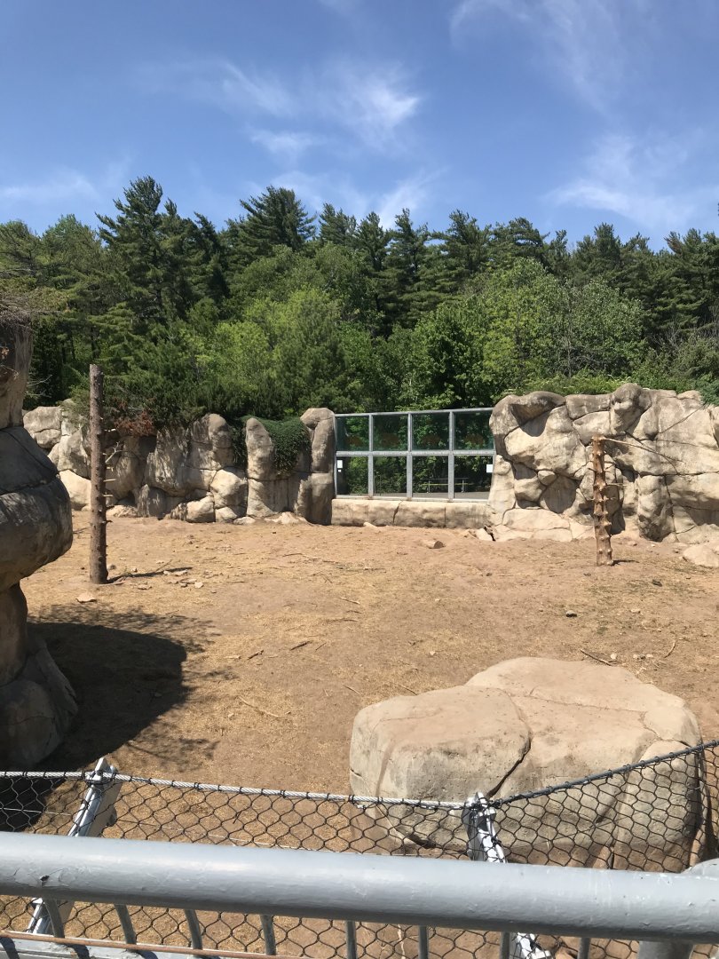 Bear Country- New Alaskan brown bear exhibit (formerly polar shores)
