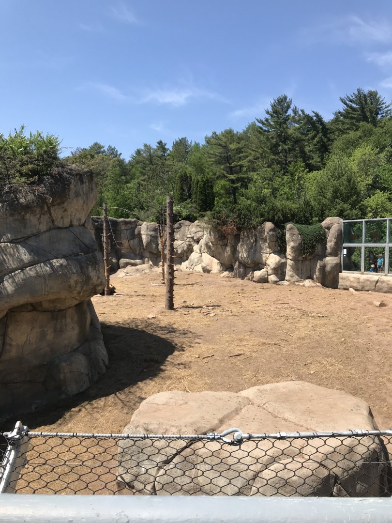 Bear Country- New Alaskan brown bear exhibit (formerly polar shores)