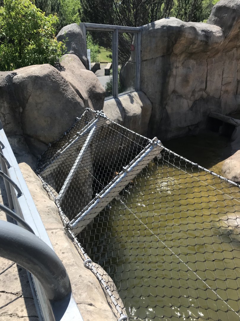 Bear Country- New Alaskan brown bear exhibit (formerly polar shores