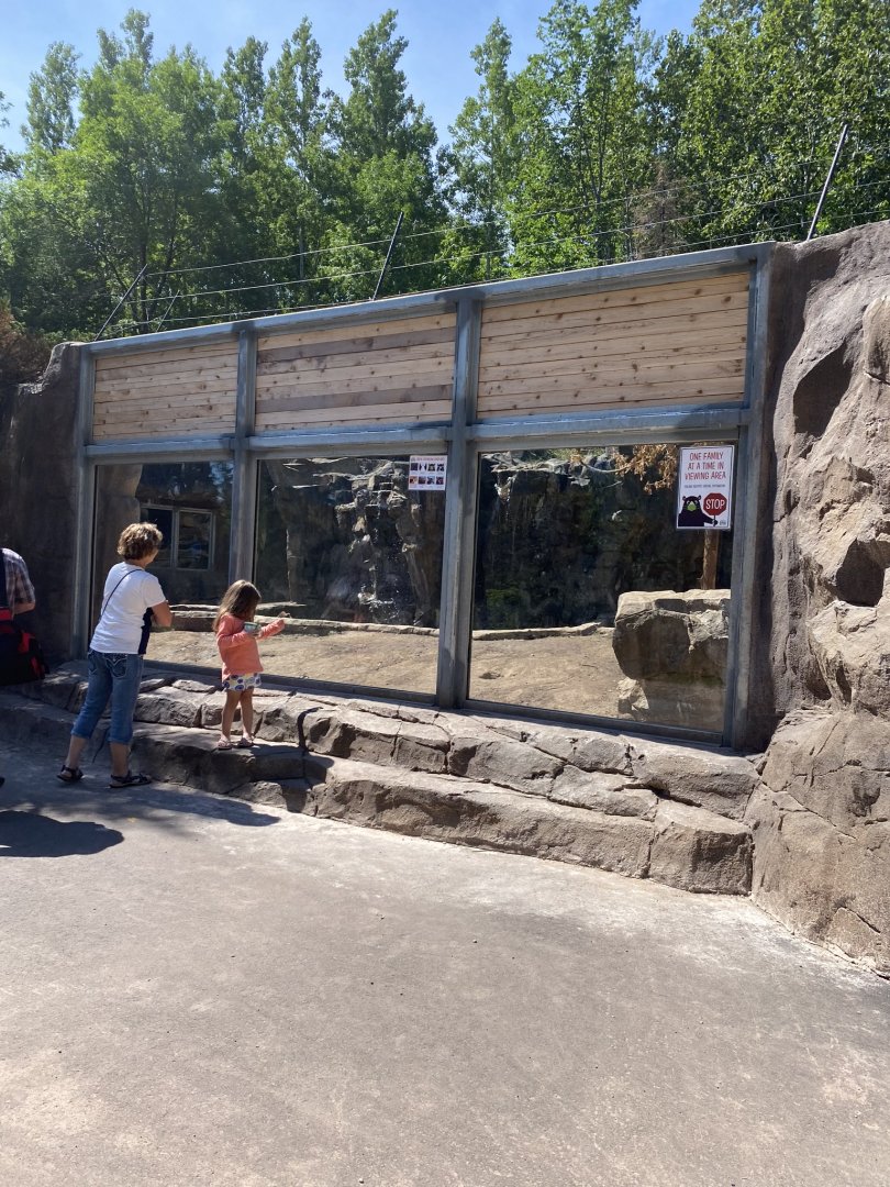 Bear country new Alaskan brown bear exhibit