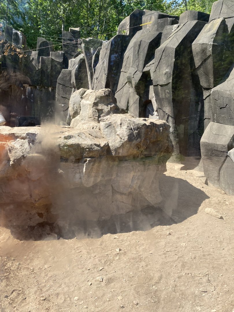 Bear country new Alaskan brown bear exhibit