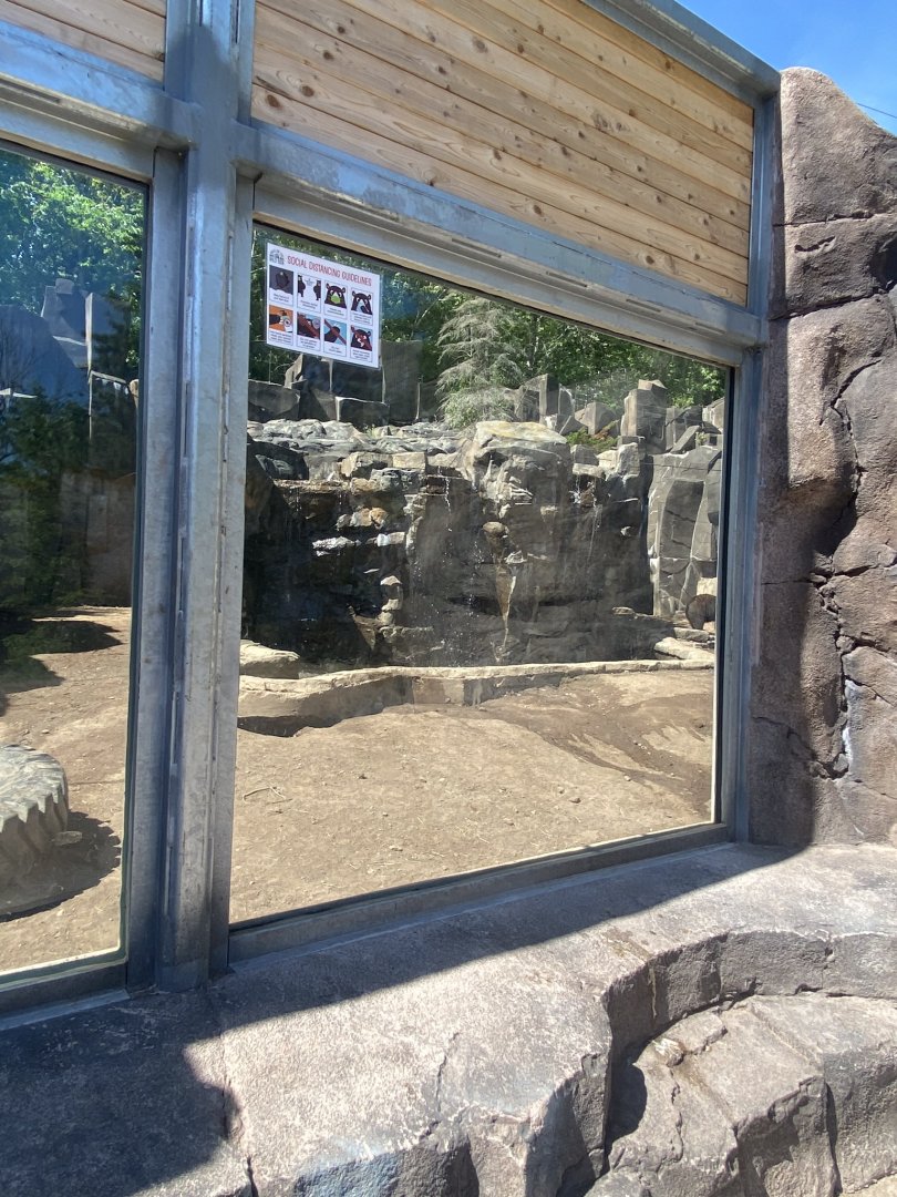Bear country new Alaskan brown bear exhibit
