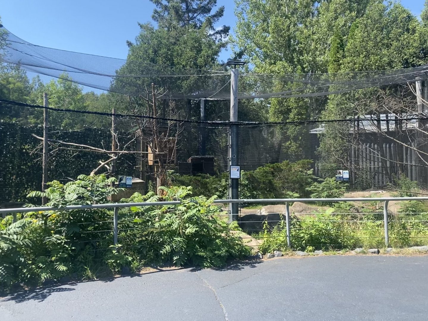 Bear Country - New North American Porcupine/Common Raven Exhibit