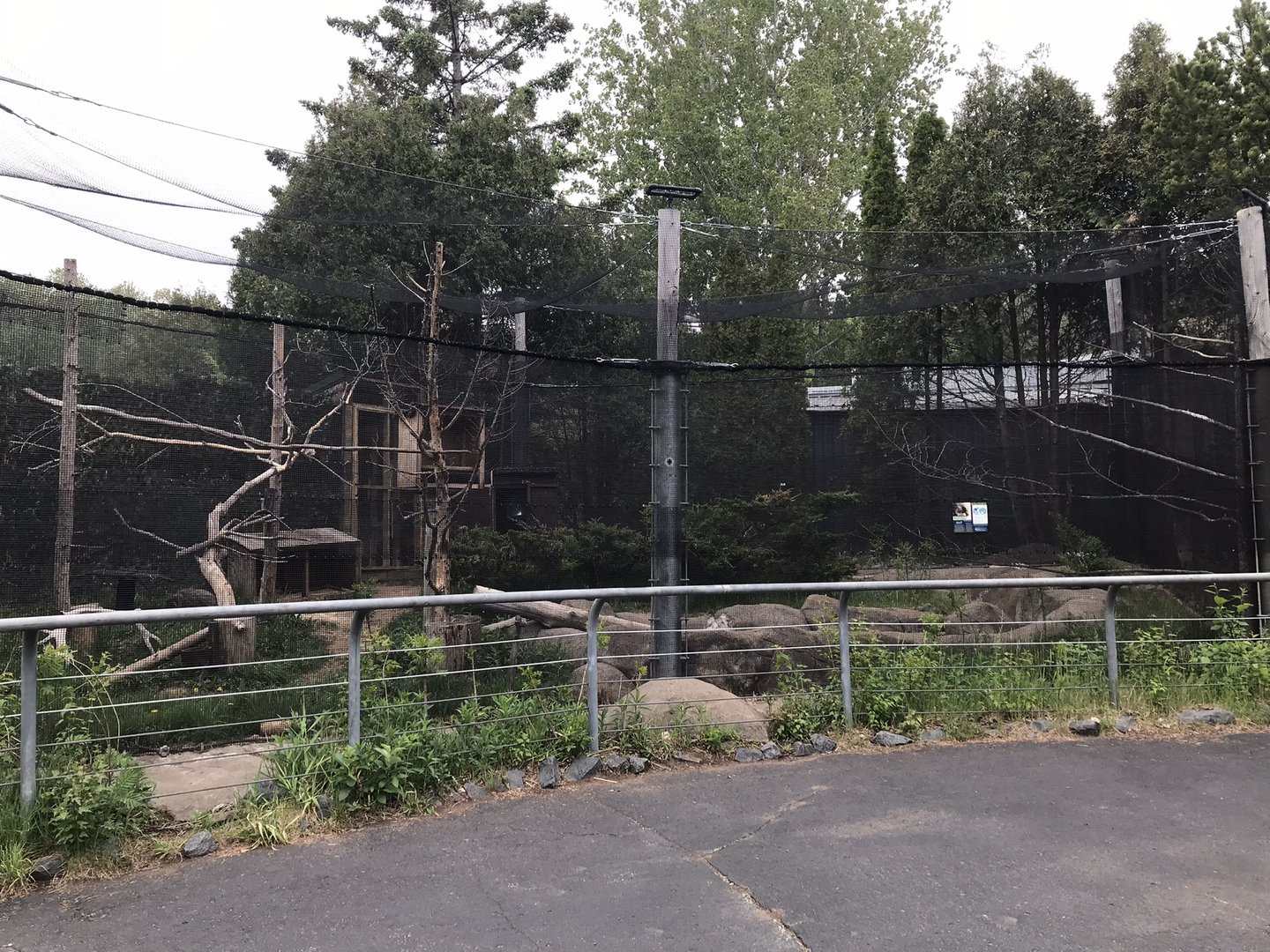 Bear Country - North American Porcupine Exhibit