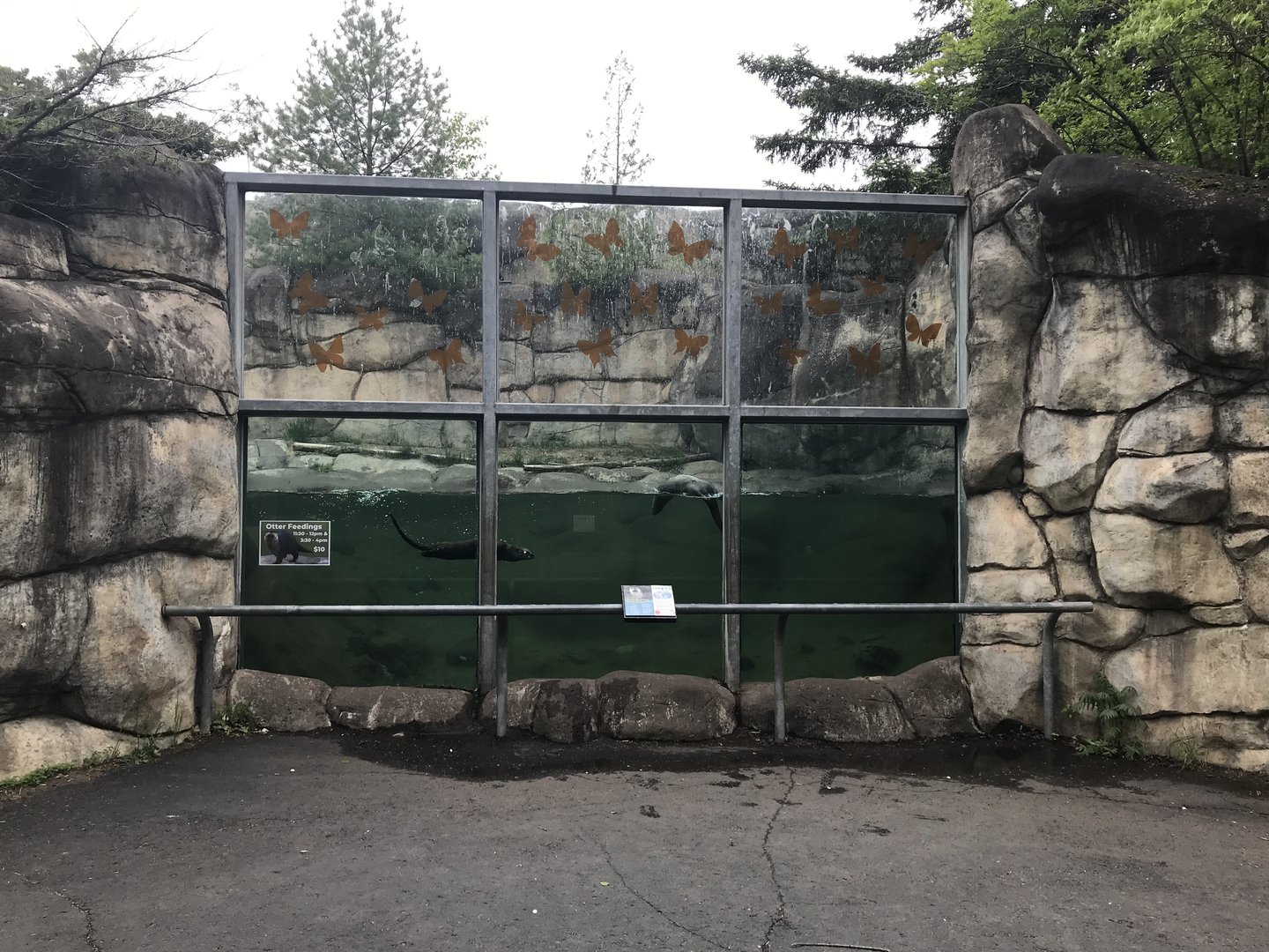 Bear Country North American River Otter Exhibit