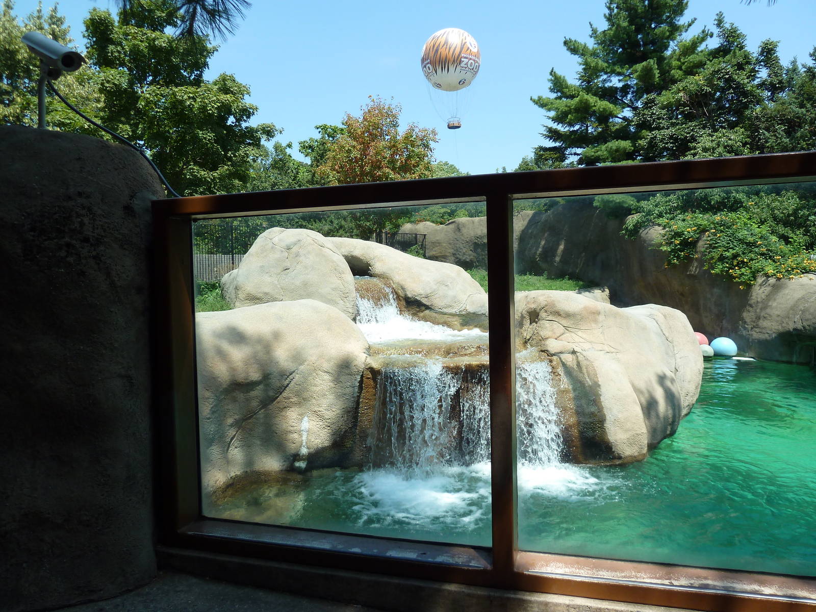 Bear Country - Polar Bear Exhibit + Hot Air Balloon