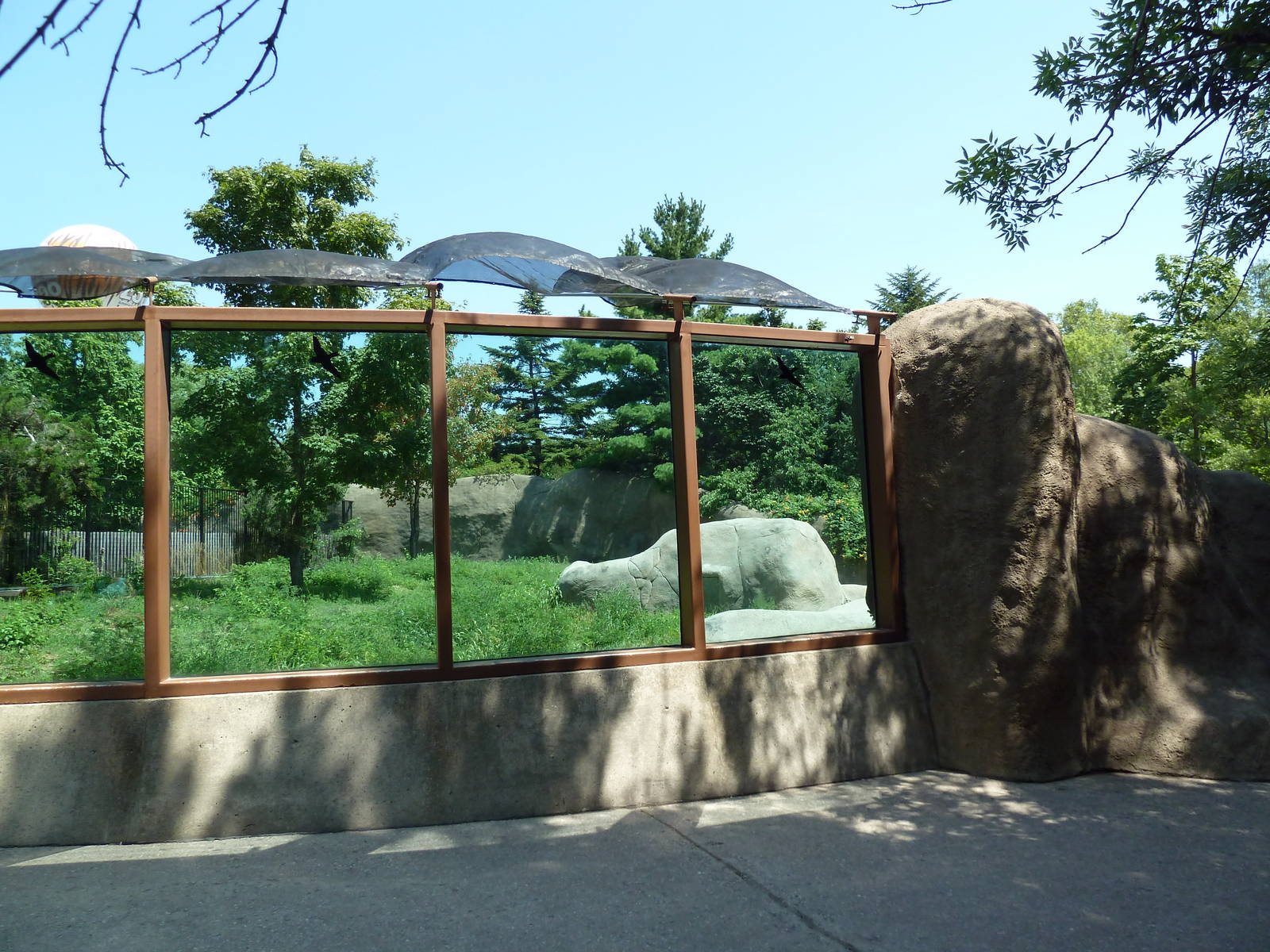 Bear Country - Polar Bear Exhibit