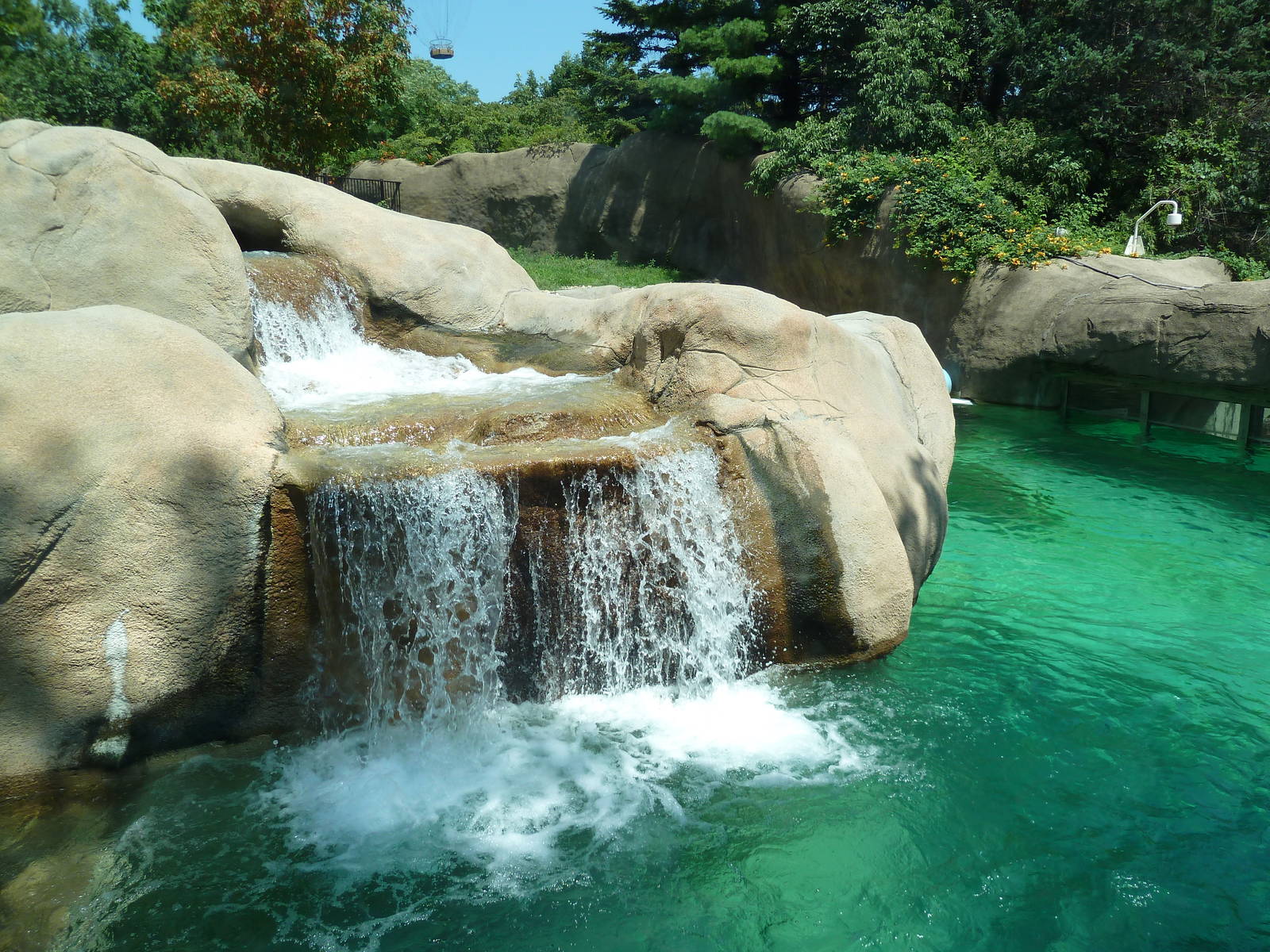 Bear Country - Polar Bear Exhibit