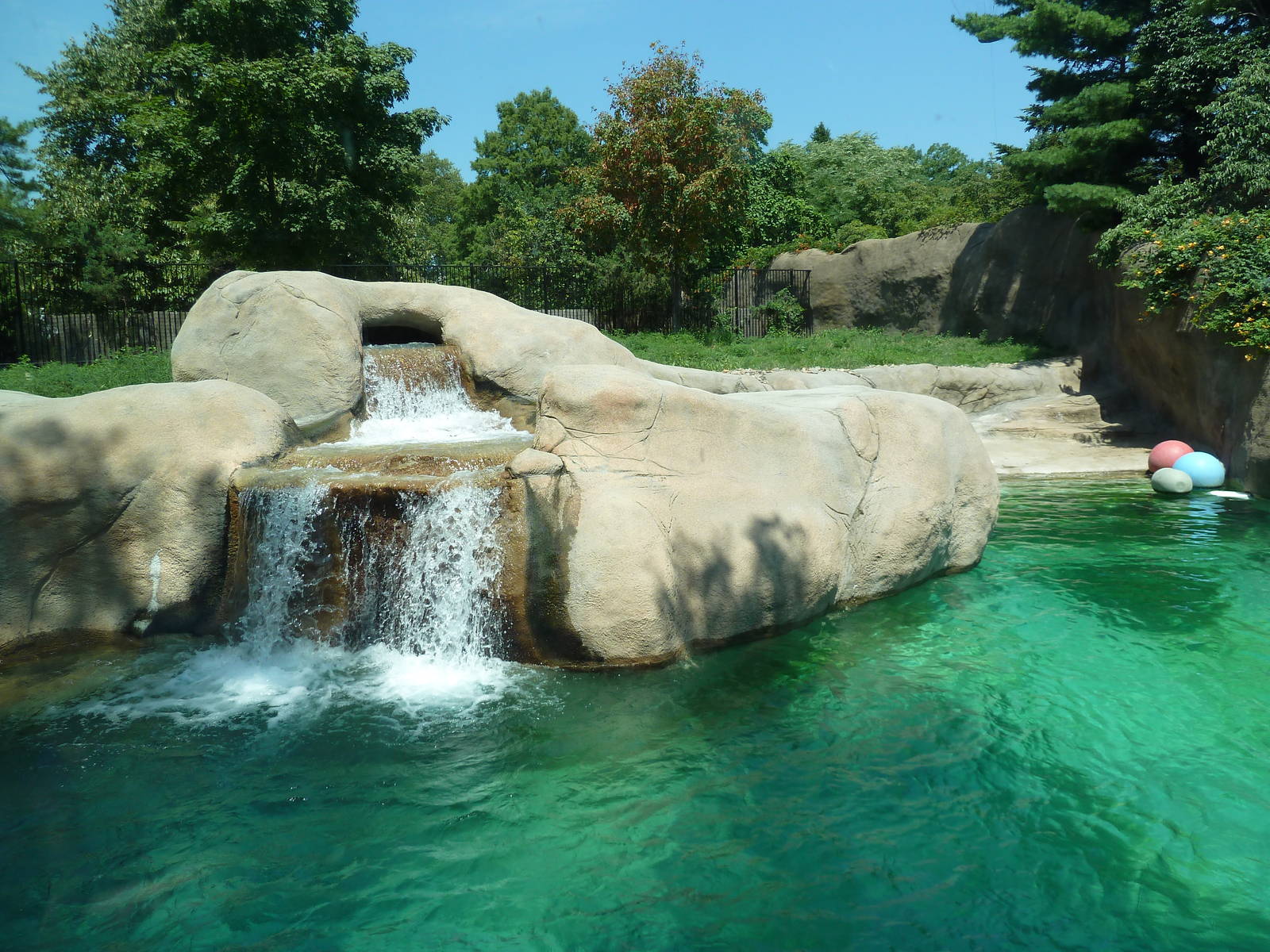 Bear Country - Polar Bear Exhibit