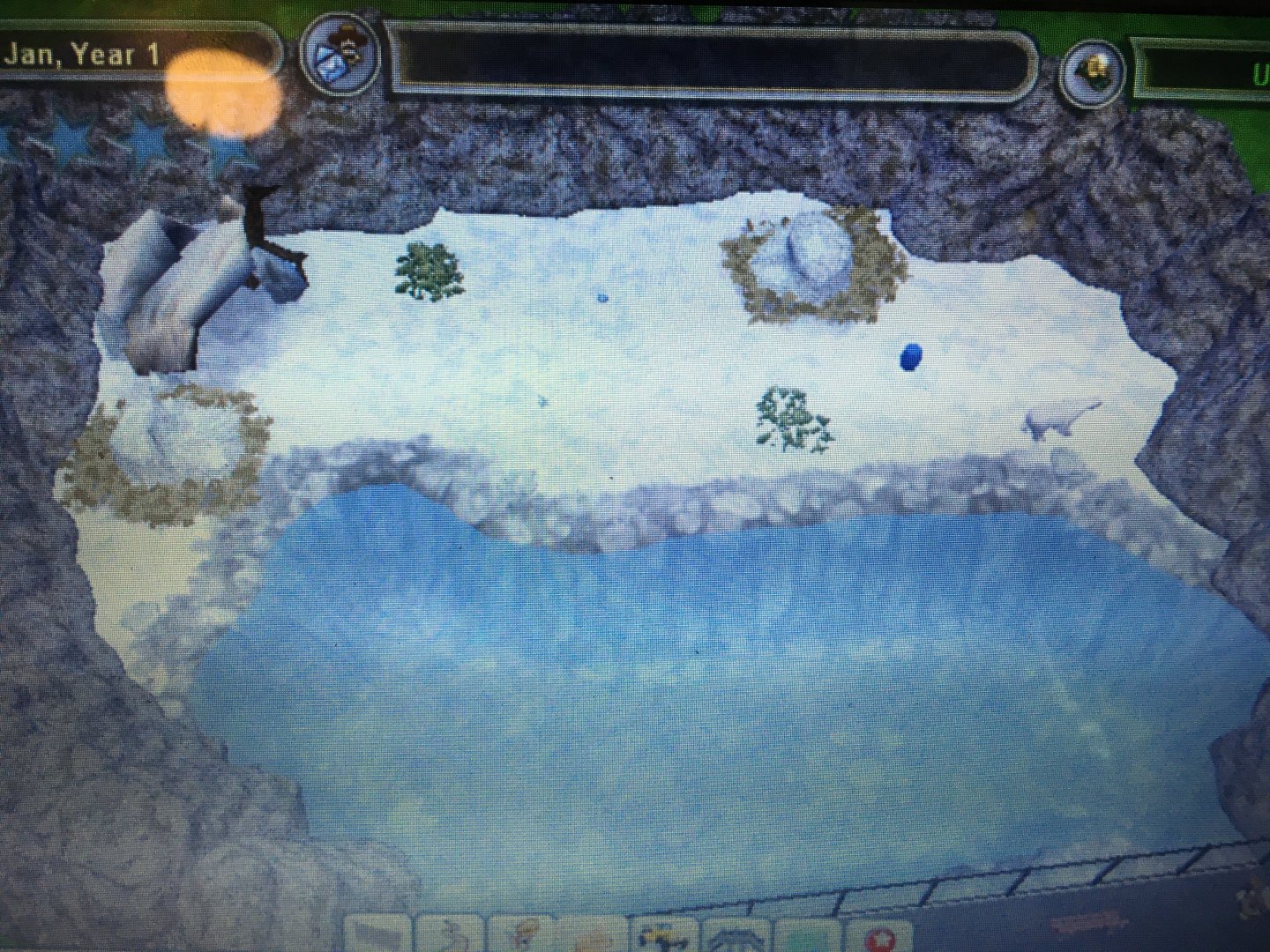 Bear Country - Polar Bear Exhibit